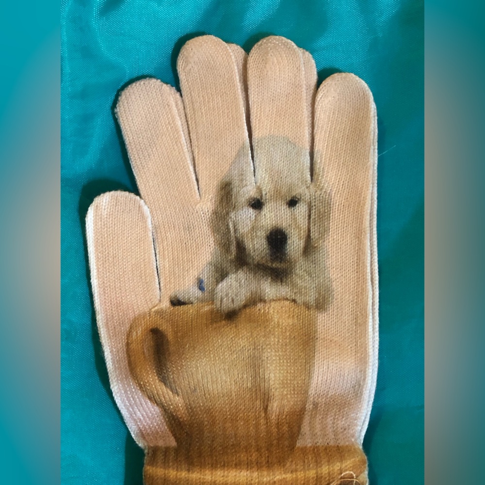 Women’s dog puppy in coffee cup printed‎ beige knit gloves one size new